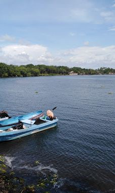 Biotopo Monterrico-Hawaii-El Hawaii