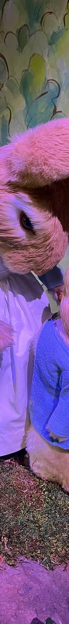 彼得兔世界-鲍内斯温德米尔