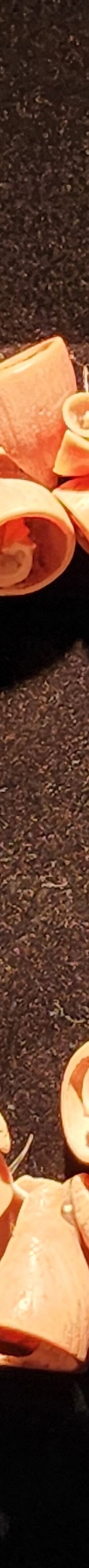 前哥伦布艺术博物馆-库斯科