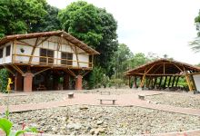 Jardin Botanico del Quindio景点图片
