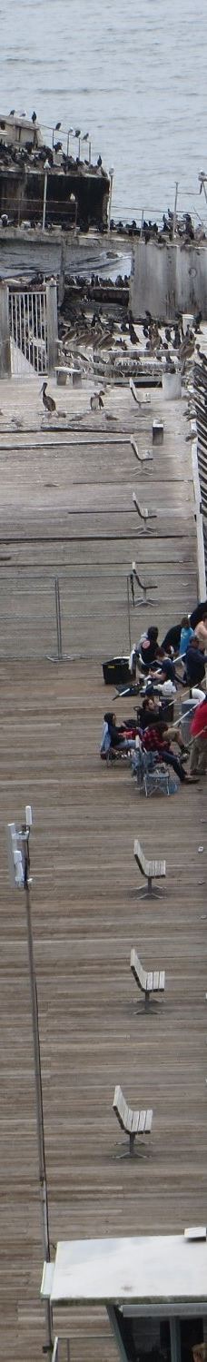 Seacliff State Beach-阿普托斯