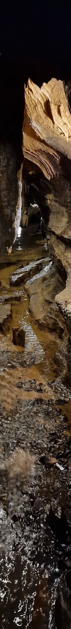 Grottes de Betharram-圣佩德比戈尔