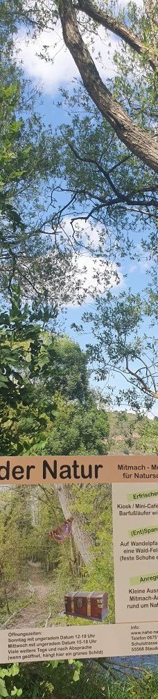 Barfusspfad Bad Sobernheim-索伯恩海姆