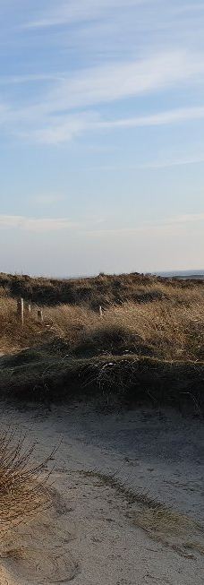 Morsum-Kliff-摩尔苏姆