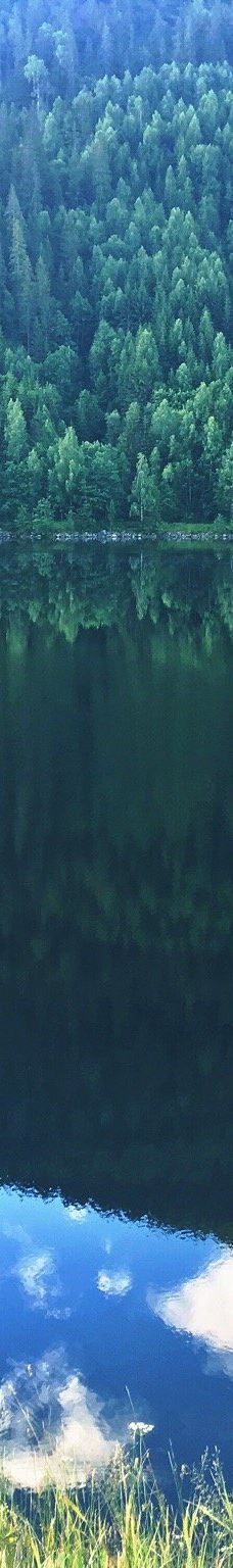 哈当厄尔峡湾-Stamnes