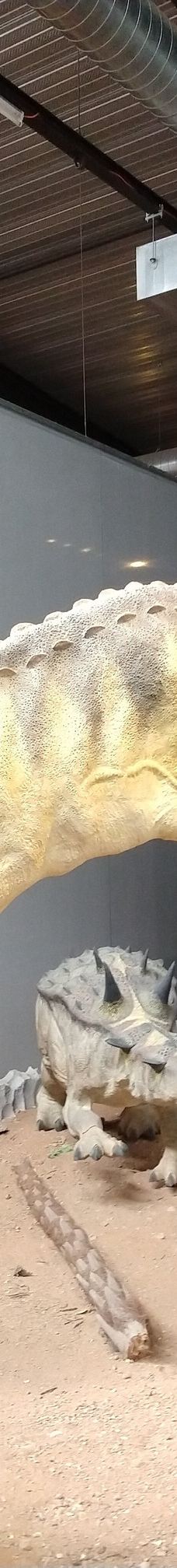 Musee des Dinosaures 'Dinosauria'-埃斯佩拉扎