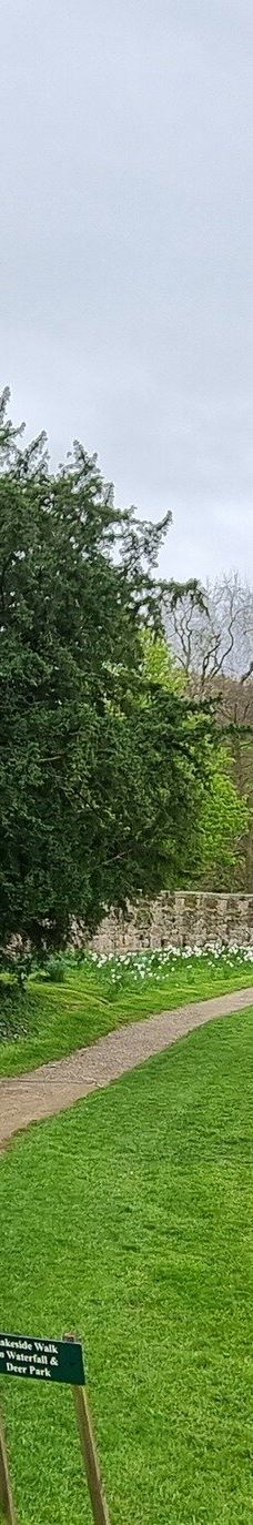 Ripley Castle-哈罗盖特