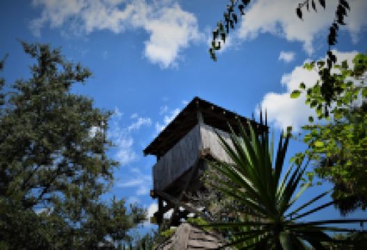 殖民区博物馆景点图片