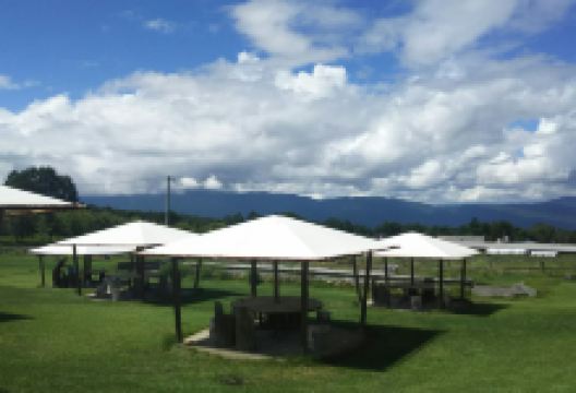 Yatsugatake Farm Stand购物图片