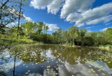 Cornell Lab of Ornithology景点图片