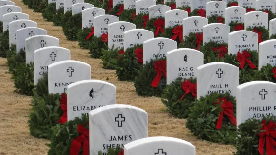 Georgia National Cemetery