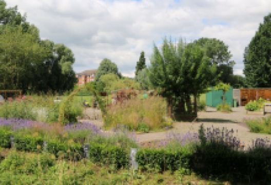 Grozone Community Garden景点图片