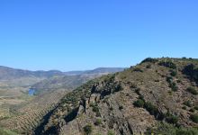 Miradouro Natural do Alto da Sapinha景点图片