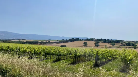 Winery Fattoria Cantagallo