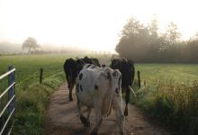 Farm Visit景点图片