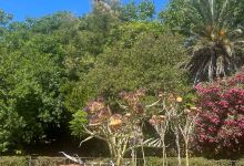 Botanical Garden San Fernando景点图片