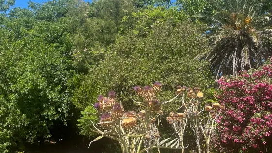 Botanical Garden San Fernando