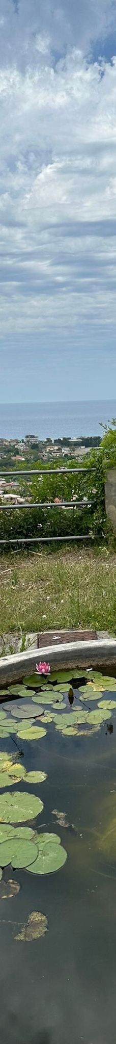 Fondazione Famiglia Piccolo-卡普多兰多