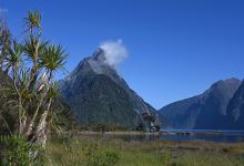 Milford Sound Foreshore Walk景点图片