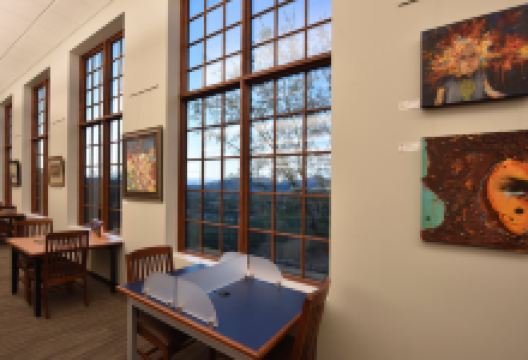 Desert Foothills Library景点图片