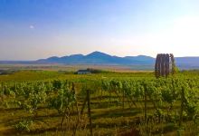 Tokaj Wine Region景点图片