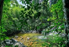 Ton Pring Waterfall景点图片