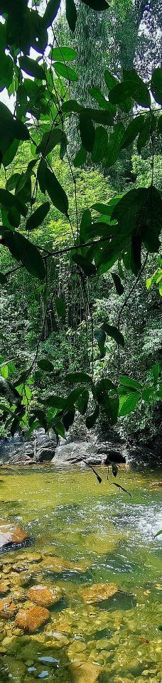 Ton Pring Waterfall-泰孟