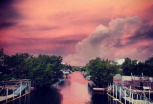 海豚乐园景点图片