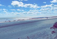 Spurn Lighthouse景点图片