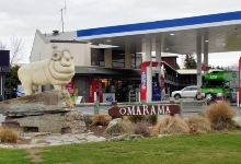 Omarama Sheep Statue景点图片