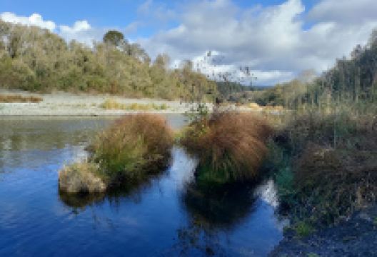 Carlson Park景点图片