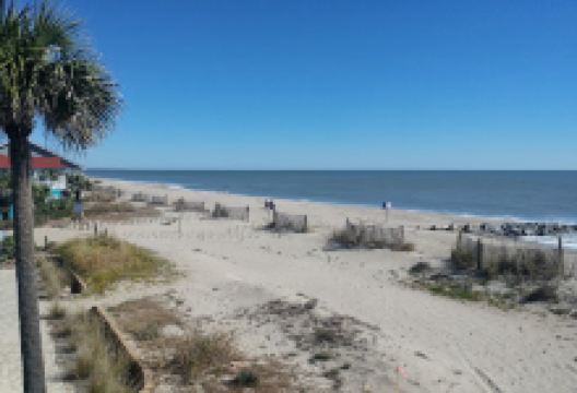 Burley L. Lyons Park景点图片