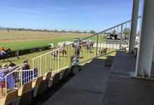 Narromine Showgrounds景点图片