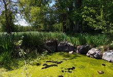 Göhlquelle景点图片