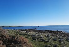 Rivière de Saint-Philibert景点图片