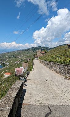 Terrasses viticoles de Lavaux-Lavaux-Oron District