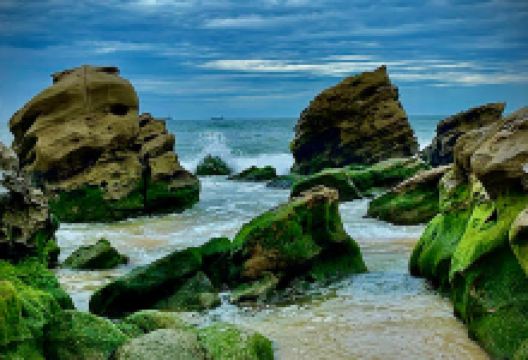 Redhead Surf Lifesaving Club景点图片
