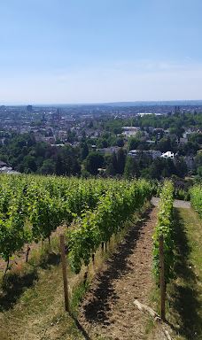 Nerotal-Anlagen-威斯巴登