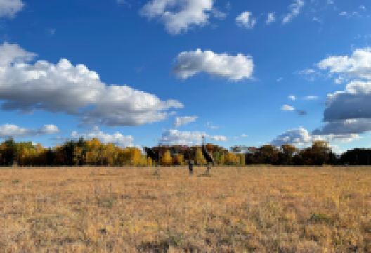 Irving and John Anderson County Park景点图片