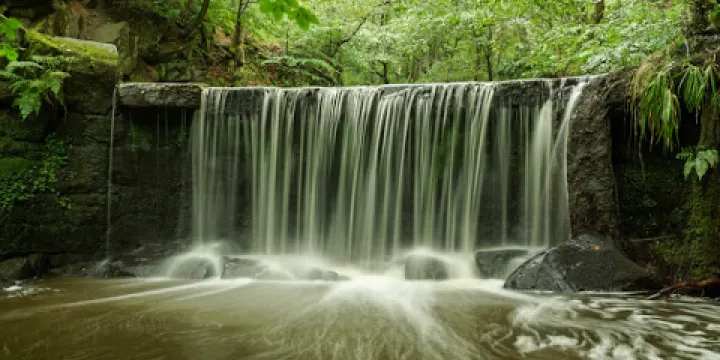 Knypersley Reservoir