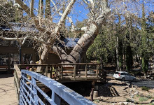 Arizona Folklore Preserve景点图片