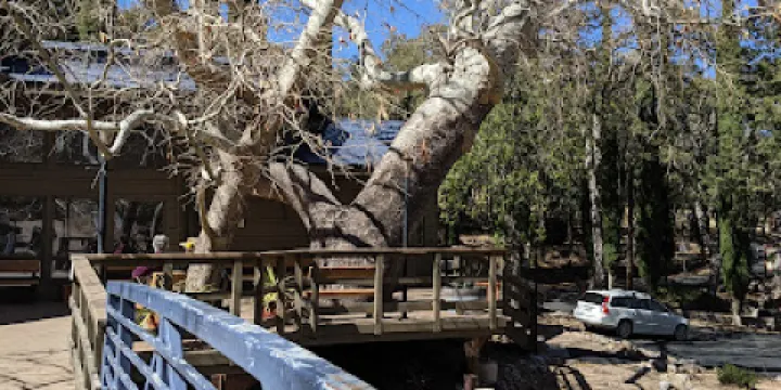 Arizona Folklore Preserve