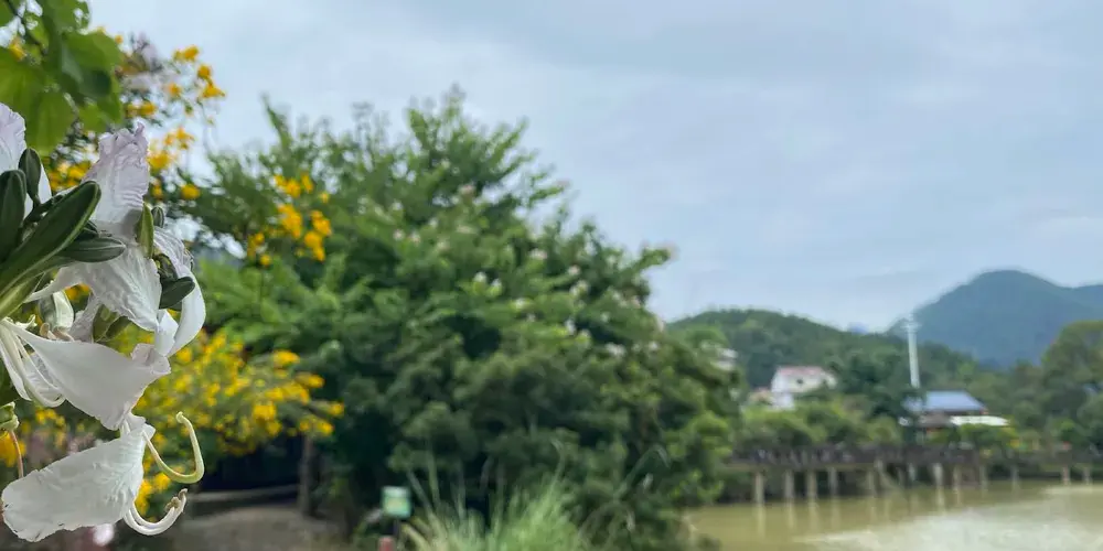 永安旅遊