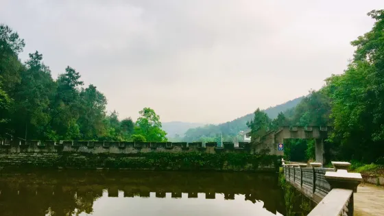 陽高寺
