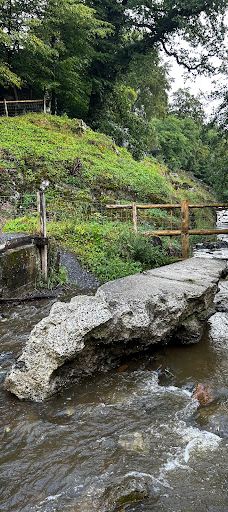 Bilsteintal: Tropfsteinhöhle und Wildpark in Warstein-瓦尔施泰因