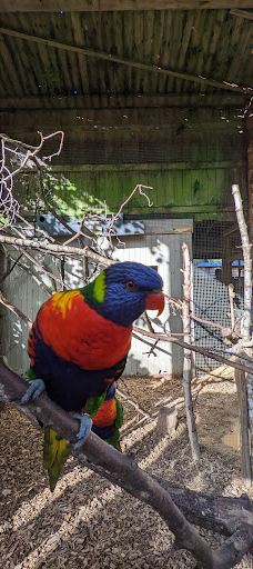 郎利特野生动物园-沃明斯特