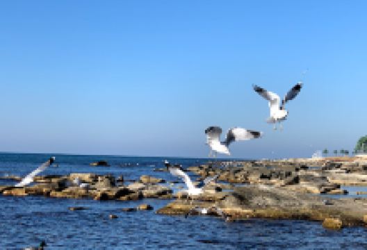 I LOVE AKTAU景点图片