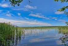 Lakefield Campground景点图片