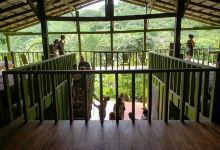 Reserva Natural Monte Alto景点图片