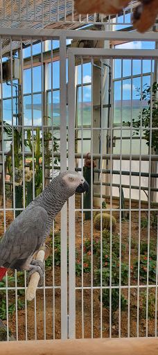 Asan Ecological Environment Insect Museum-牙山市